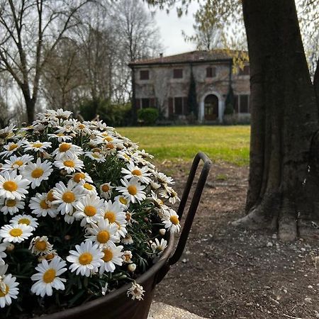 Agriturismo Corte San Girolamo Mantova Kültér fotó