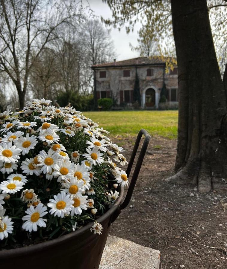 Agriturismo Corte San Girolamo Mantova Kültér fotó