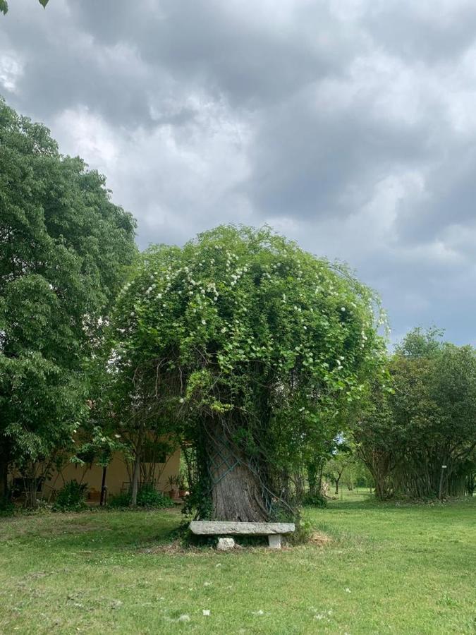 Agriturismo Corte San Girolamo Mantova Kültér fotó