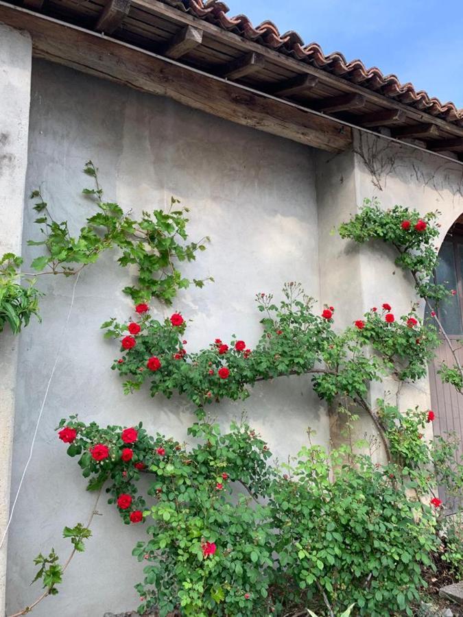 Agriturismo Corte San Girolamo Mantova Kültér fotó