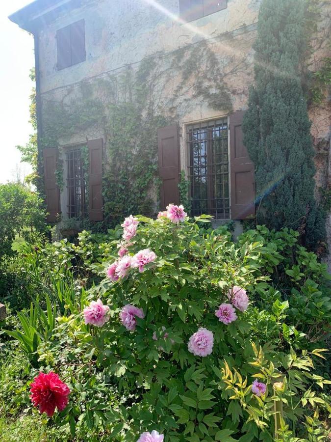 Agriturismo Corte San Girolamo Mantova Kültér fotó