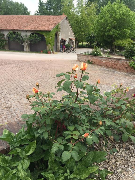 Agriturismo Corte San Girolamo Mantova Kültér fotó