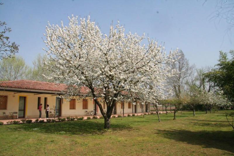 Agriturismo Corte San Girolamo Mantova Kültér fotó