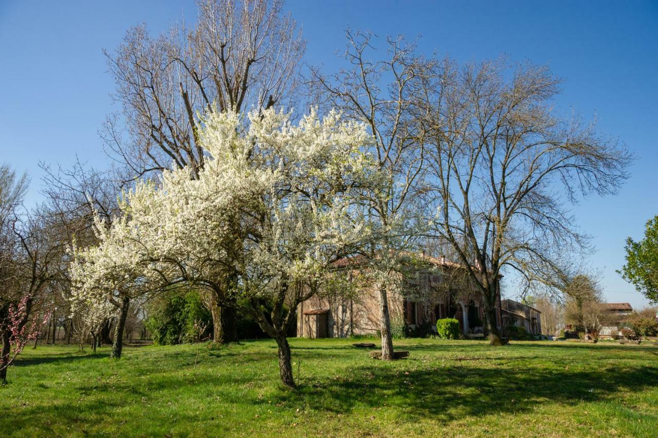Agriturismo Corte San Girolamo Mantova Kültér fotó